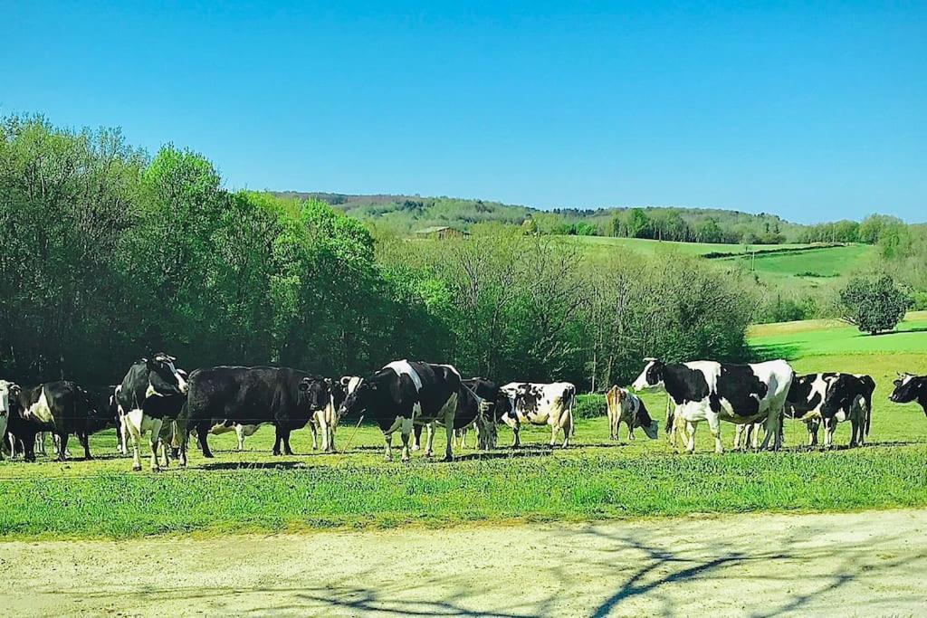 « Le Vieux Hangar » Gite A La Ferme Truffe 外观 照片